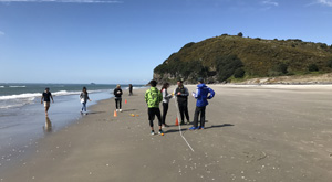 Coastal processes data collection. Geography field trip with Learning Journeys, New Zealand
