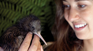 Presentation on Operation Nest Egg (Kiwi conservation) 