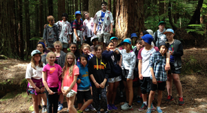 Games/activities (juniors) to improve knowledge of New Zealand forest species and their relationships 