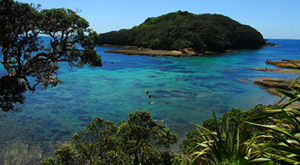 Biodiversity school trip for secondary and tertiary students. Goat Island Marine Reserve_New Zealand