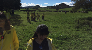 New Zealand dairy farm visit. Sustainable use of an environment.
