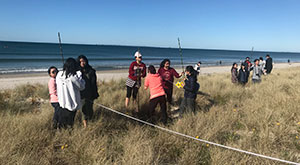 Data collection, sand dune restoration project during NZ study tour. 