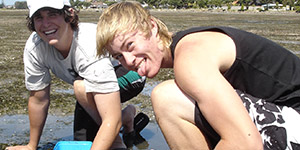 Mud flat ecology, New Zealand