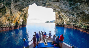 A perfect day trip, Poor Knights. Marine Studies field study for New Zealand students. 