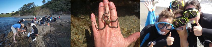 Secondary Students, New Zealand Schools, - Biodiversity field trip 