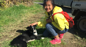 Dairy farm visit for students, New Zealand.