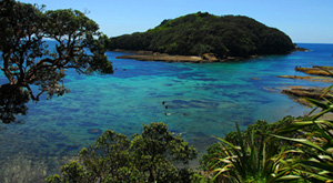 Biodiversity school trip for secondary and tertiary students. Goat Island Marine Reserve_New Zealand
