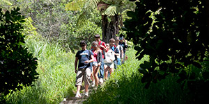 New Zealand Flora and Fauna