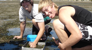 Mud flat ecology students during biology field trip.