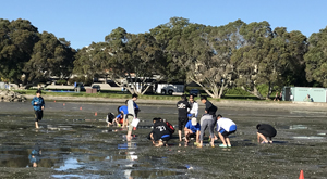 Mud flat study for students studying the living world. 