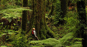 Discussion of environmental management to reduce human impacts. 