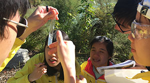 Students testing samples during geothermal chemistry gield trip. 