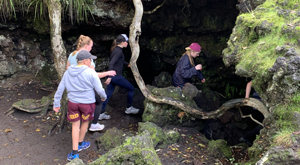 Rangitoto Volcanoes day trip