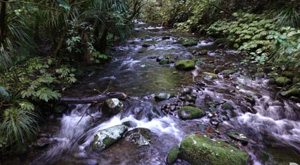 Earth Science, Rivers study with Learning Journeys. 