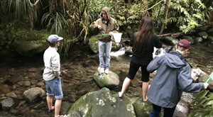 Field study during school trip with Learning Journeys.