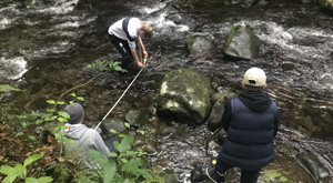 Investigate a pattern in an ecological community. Data collection on streams during field trip with Learning Journeys 