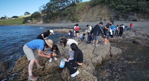 Biodiversity rocky shore study with Learning Journeys.