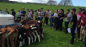 Student group tour. Dairy farm visit, New Zealand. An opportunity to understand the systems and processes of dairy farming.