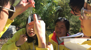 Students sample testing during geothermal chemistry field trip with Learning Journeys, New Zealand.