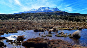 Tongariro National Park_Geography field trip for students studying in NZ.