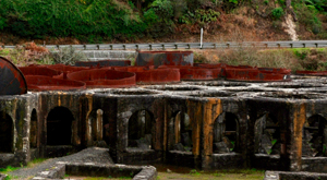 Karangahake Gorge school trip. Explore stamper batteries and other mining relics